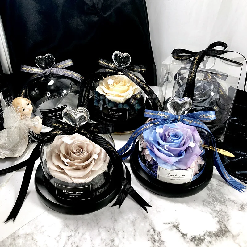Decor Timeless Lighting - La bella e la bestia Salva