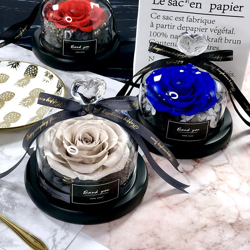 La bella e la bestia Salva il  - Decor Timeless Lighting recensione e prezzo